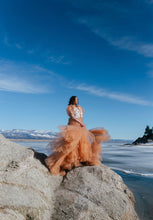 Load image into Gallery viewer, Kimia Floral Tulle Gown Rental