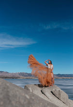 Load image into Gallery viewer, Kimia Floral Tulle Gown Rental
