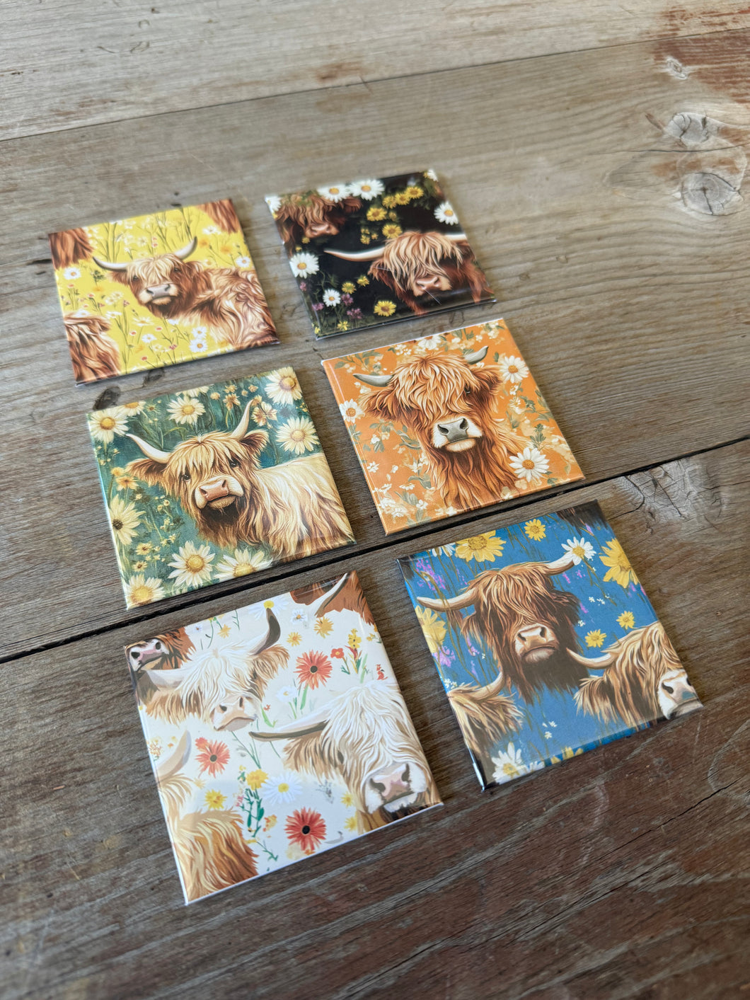 Highland Cow Photo Magnets - 6 Images